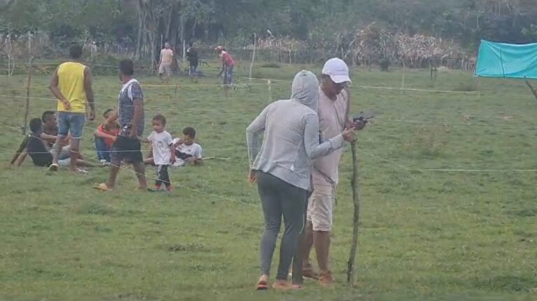 Pantallazo de vídeos suministrados