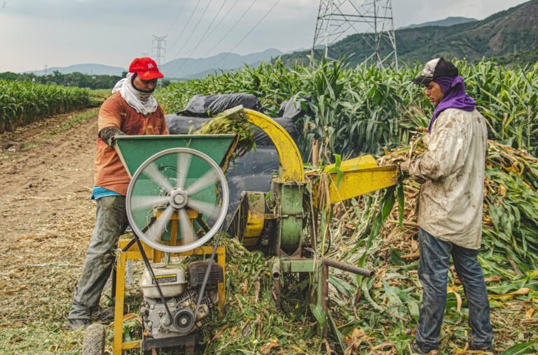 El Banco Agrario de Colombia anunció la disponibilidad, a partir del 12 de junio, de dos Líneas Especiales de Crédito (LEC): Desarrollo Productivo y Reforma Agraria.