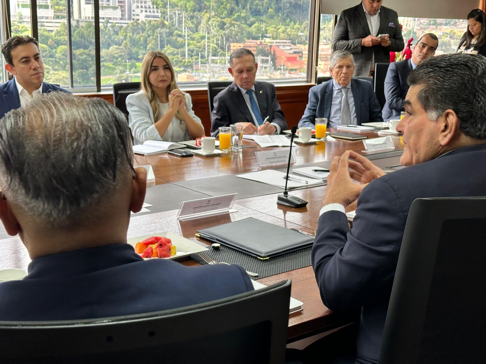 Partidos políticos exigen al gobierno garantías de seguridad electoral y control sobre la UNP