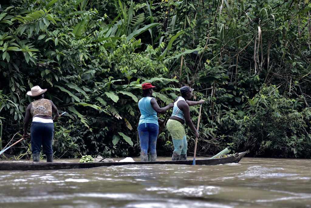 Alerta por aumento de violencia en San José del Palmar, Chocó