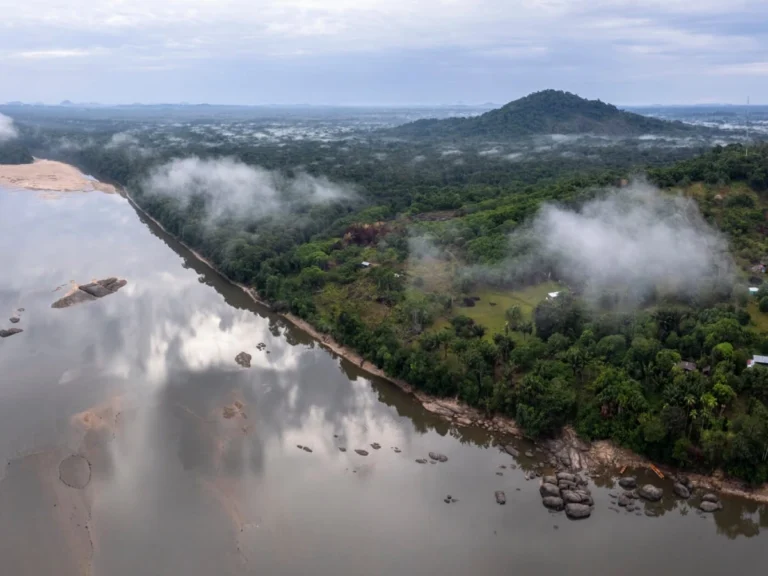 El Vaupés es uno de los departamentos que se puede explorar a través de la realidad aumentada de la aplicación.