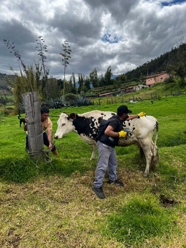 En el arranque de 2026, la campaña sanitaria superó en 0,8 % a la primera semana del ciclo del año anterior.